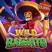 Blackjack Pro
